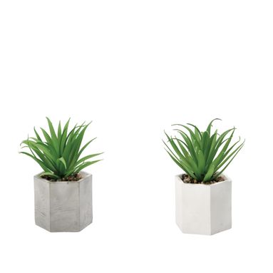 VASO CON PIANTA GRASSA DECORATIVA D.10XH18CM IN 2