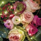 catena-60-micro-led-295cm-argento-slash-bianco-caldo