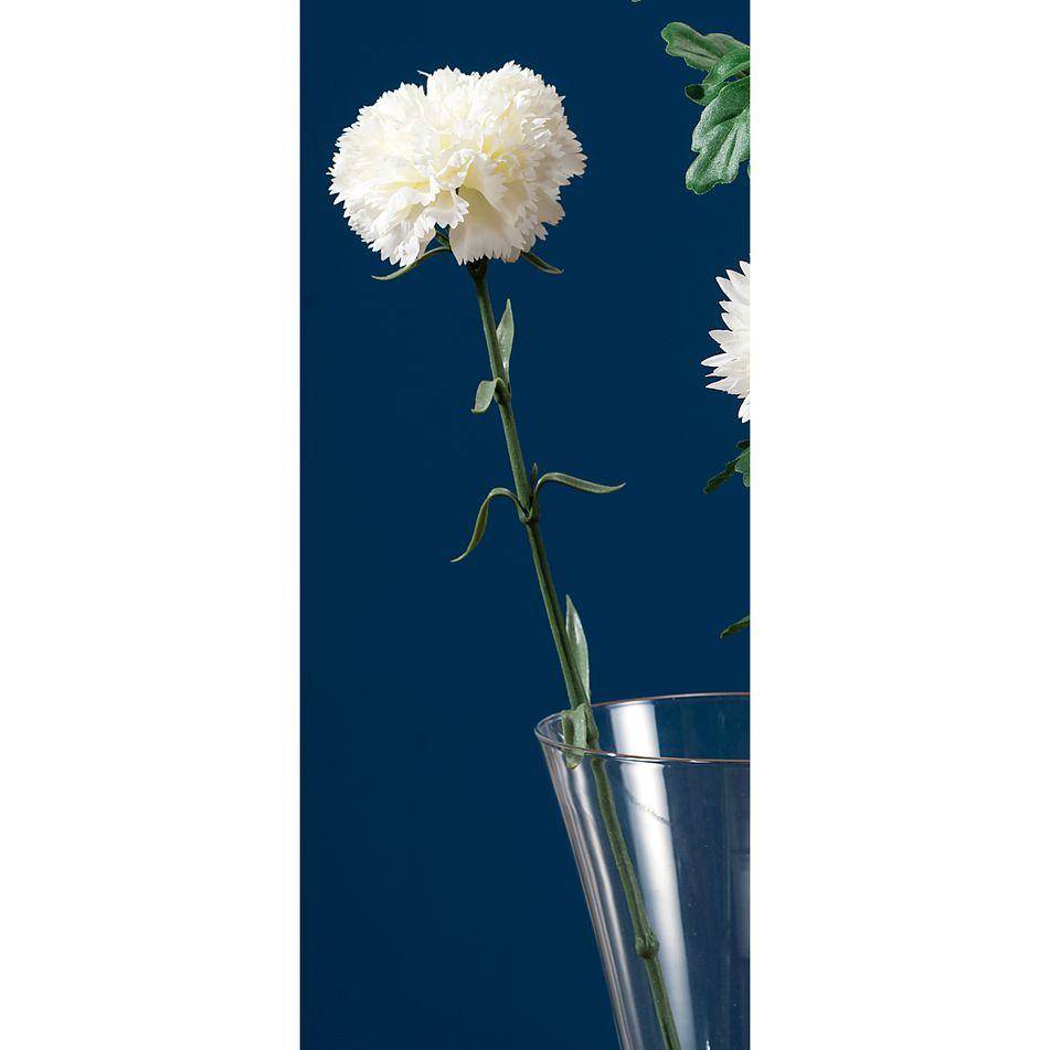 garofano-bianco-x-decorazione-cm65