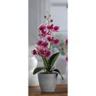 vaso-con-orchidea-a-7-fiori-d-dot-10xh38cm-in-4-colori