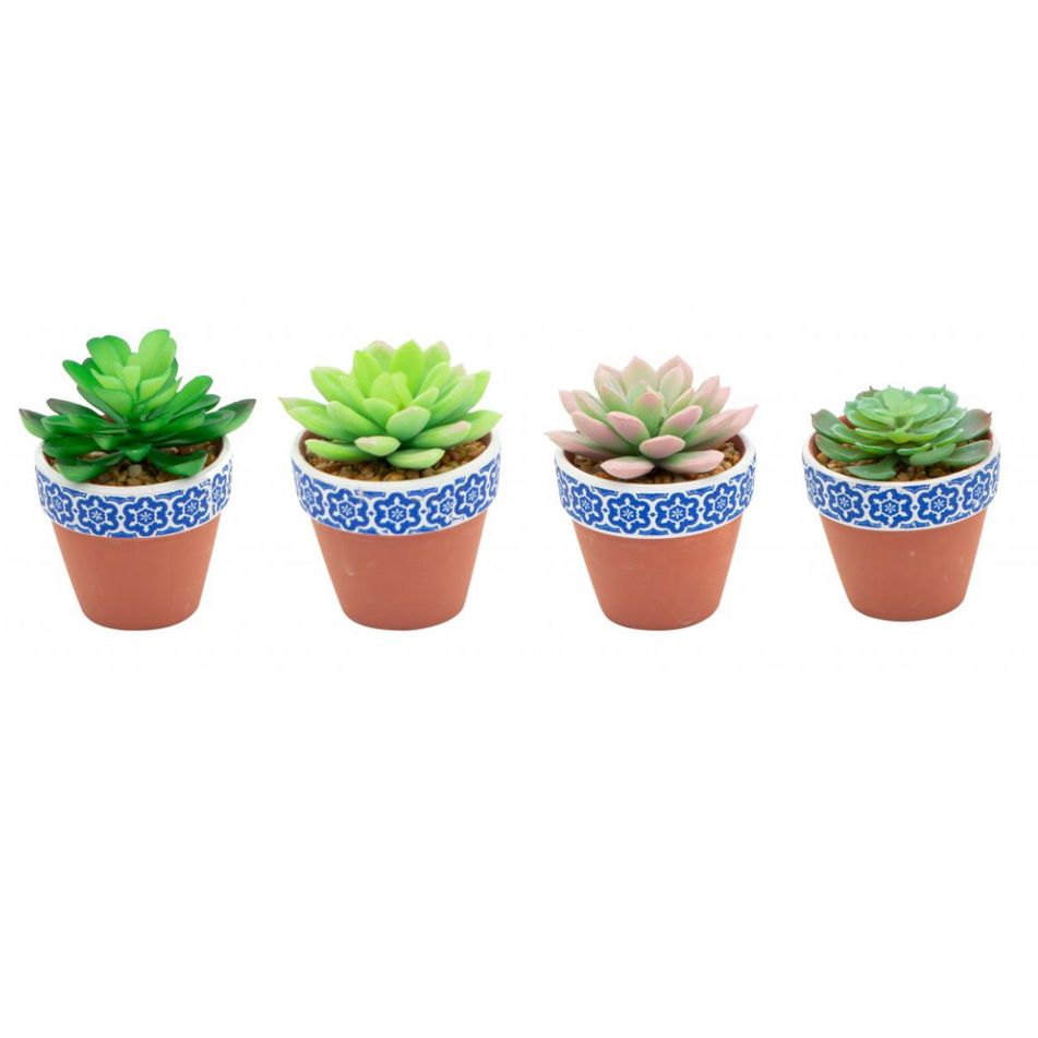vaso-con-pianta-grassa-d-dot-7xh6cm-in-4-modelli