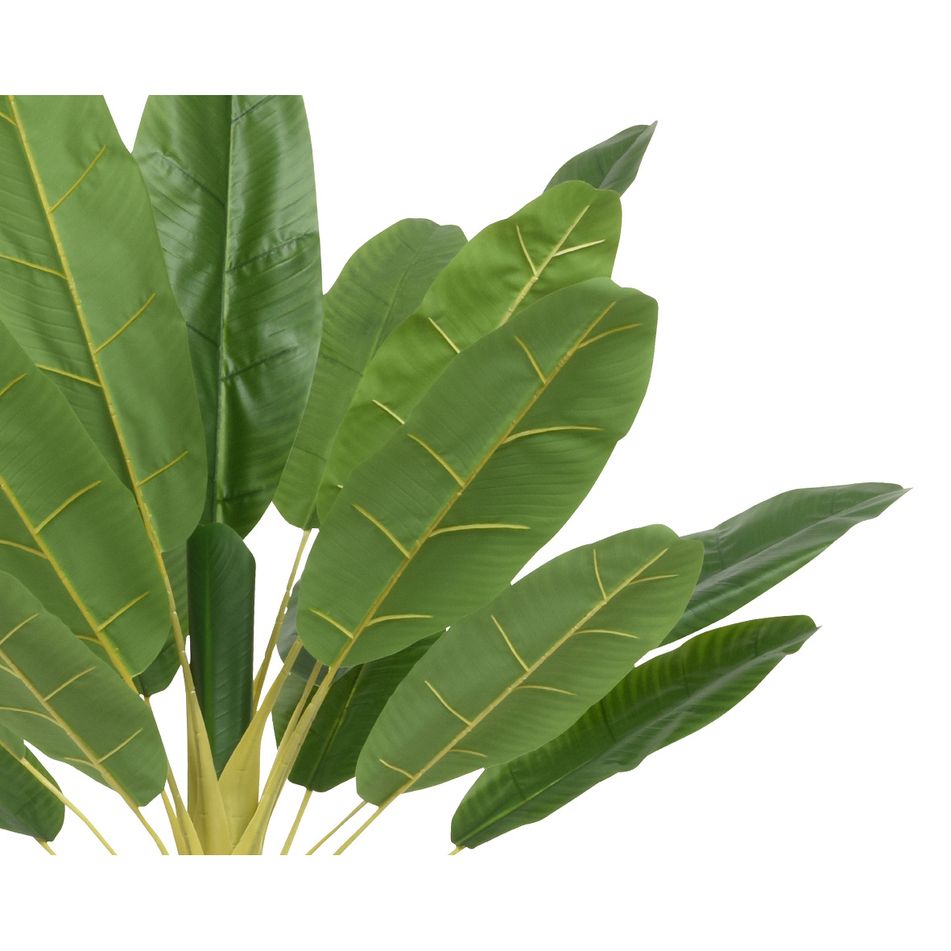 pianta-di-banano-120x100xh180cm-in-plastica