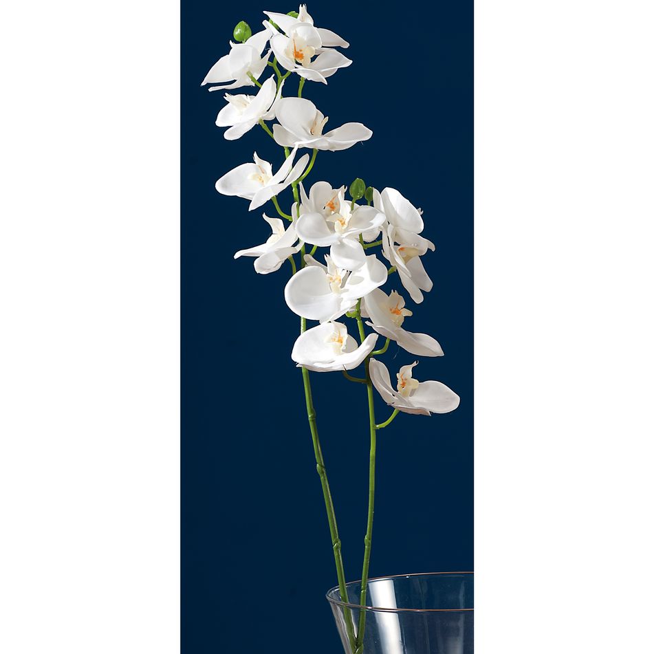 orchidea-bianca-16fiori-x-dec-cm88