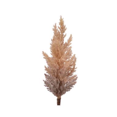 RAMETTO PAMPAS H88CM MARRONCINO