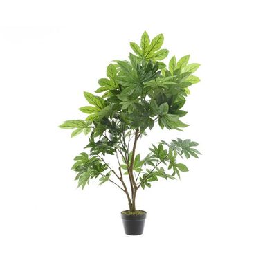 VASO CON ARALIA D.90XH130CM