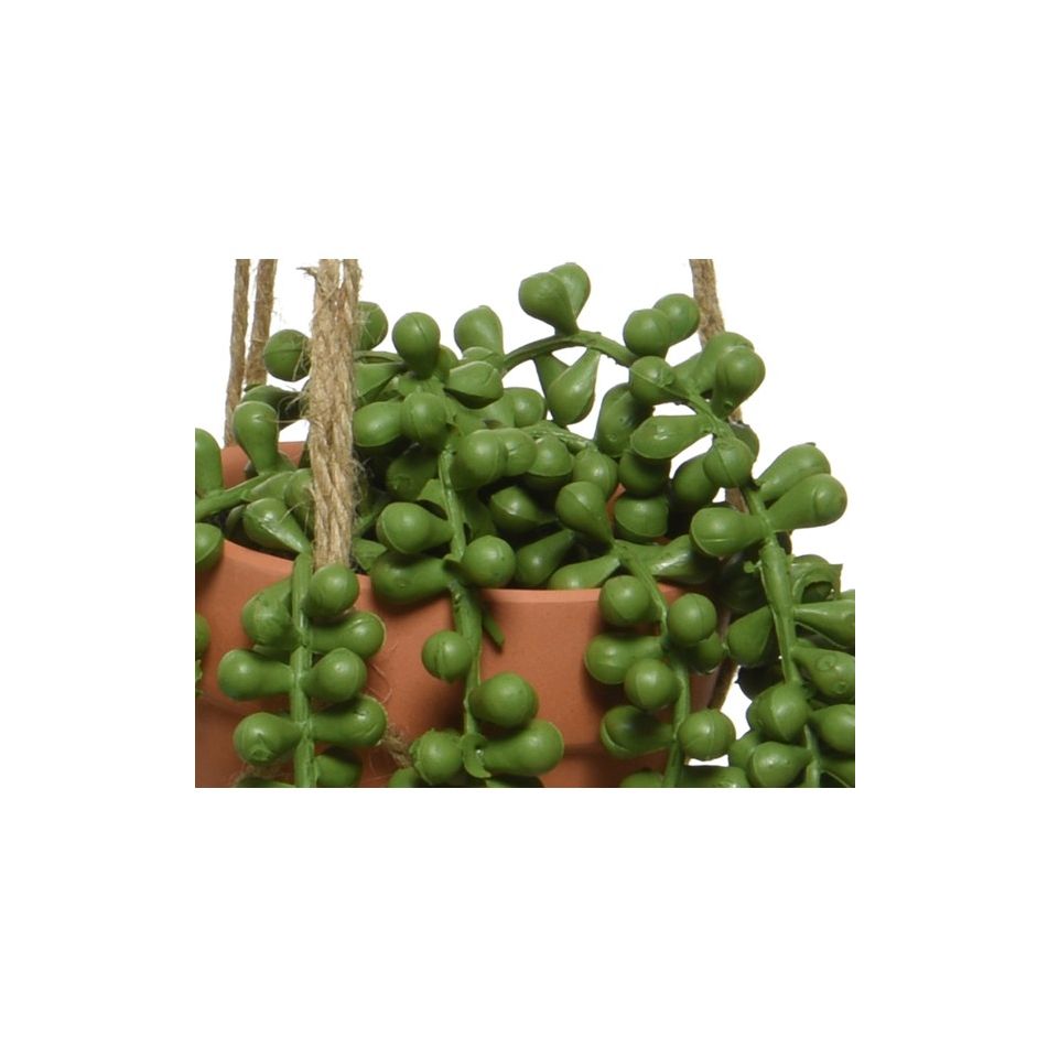 vaso-pensile-marrone-con-pianta-d-dot-10xh40cm-con-cor