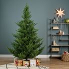 albero-norway-spruce-h300cm-7614-rami-d-dot-193cm