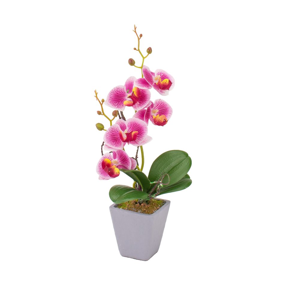 vaso-con-orchidea-d-dot-8xh34cm-in-4-colori-con-5-fior