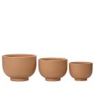 vaso-stella-d-dot-30xh22cm-in-argilla-grezza