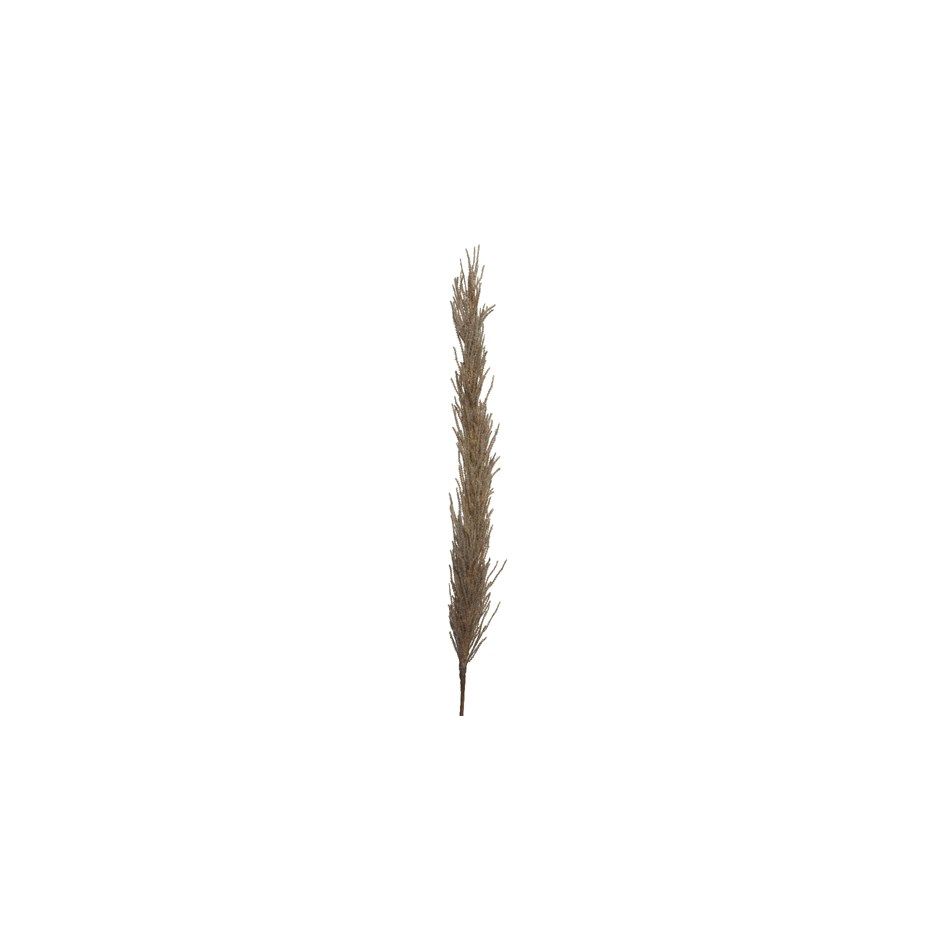 pampas-decorativa-marrone-h100cm