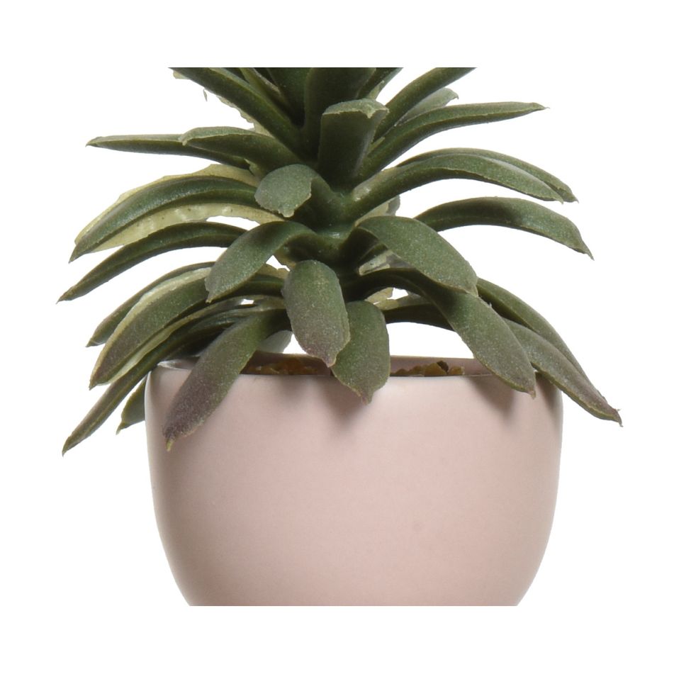 vaso-omino-con-pianta-7x9xh14cm-4colori-assortiti