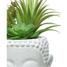 vaso-bhudda-grigio-con-pianta-grassa-d-dot-14xh23cm