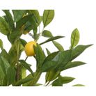 vaso-con-alberello-di-limone-d-dot-43xh92cm
