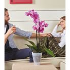 vaso-dante-look-d-dot-15xh175cm-trasparente