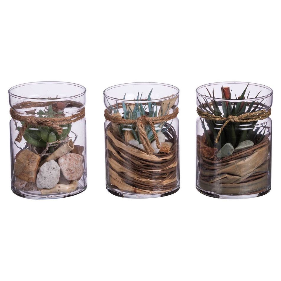 vaso-con-piante-d-dot-10xh13-dot-5cm-in-3-modelli-in-vetro