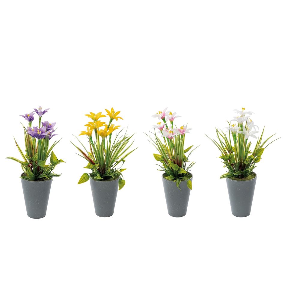 vaso-con-narciso-d-dot-9xh26cm-in-4-colori