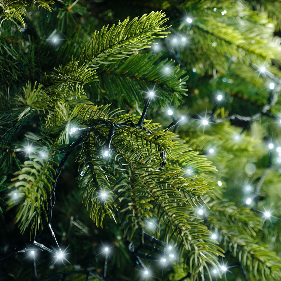 catena-compact-verde-1000-led-bianco-freddo-22-dot-5m