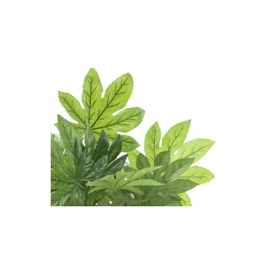 vaso-con-aralia-d-dot-90xh130cm