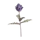 protea-prince-decorativa-80cm-in-4-colori