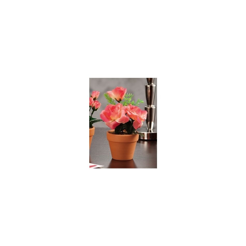 vaso-con-rose-d7x165h