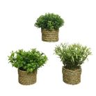 vaso-intrecciato-con-erbetta-d-dot-16xh30cm