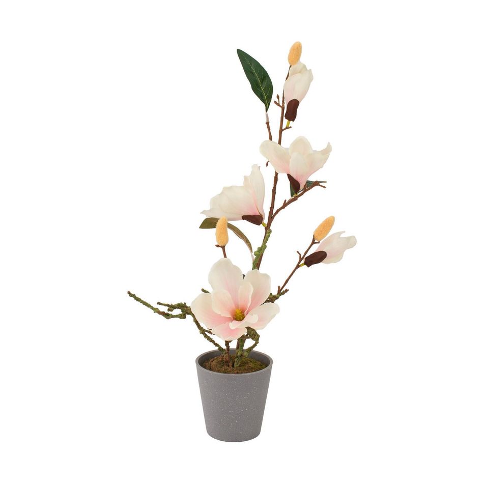 vaso-con-magnolia-5-fiori-e-3-boccioli-d-dot-11xh53cm