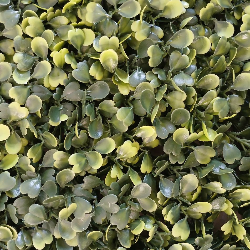 siepe-artificiale-boxwood-50x50cm-verde-fissa