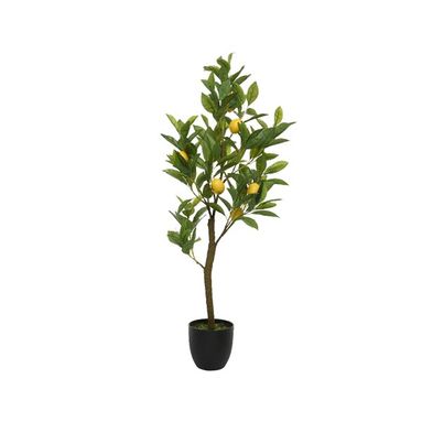 VASO CON ALBERELLO DI LIMONE D.43XH92CM