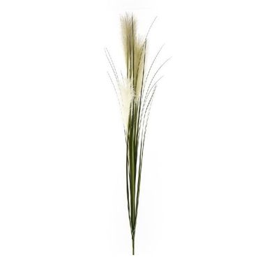 PAMPAS VERDE 120CM CON 3 STELI