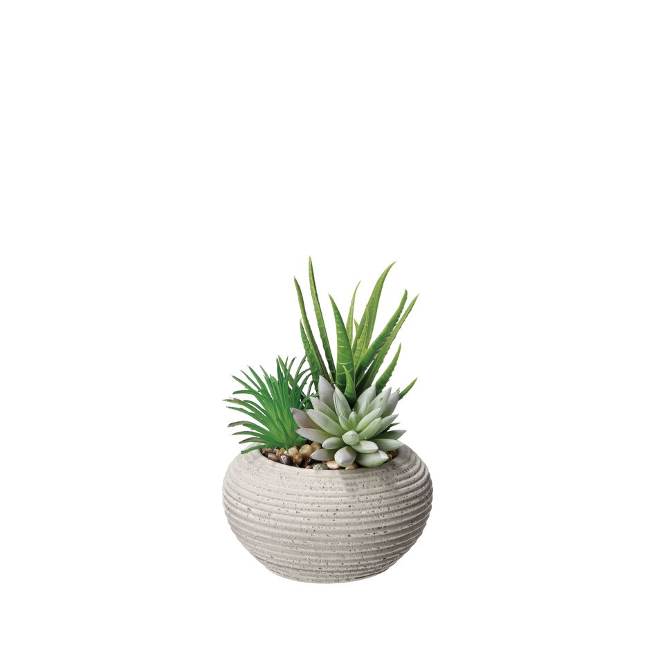 vaso-con-pianta-grassa-decorativa-d-dot-11xh15cm-in-2