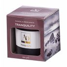 candela-profumata-d-dot-9xh10cm-4-fragranze-con-vasett-c24548