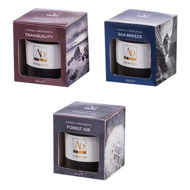 CANDELA PROFUMATA D.9XH10CM 4 FRAGRANZE CON VASETT