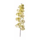 orchidea-decorativa-126cm-in-6-colori