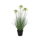 vaso-con-erba-e-fiori-d-dot-25xh60cm