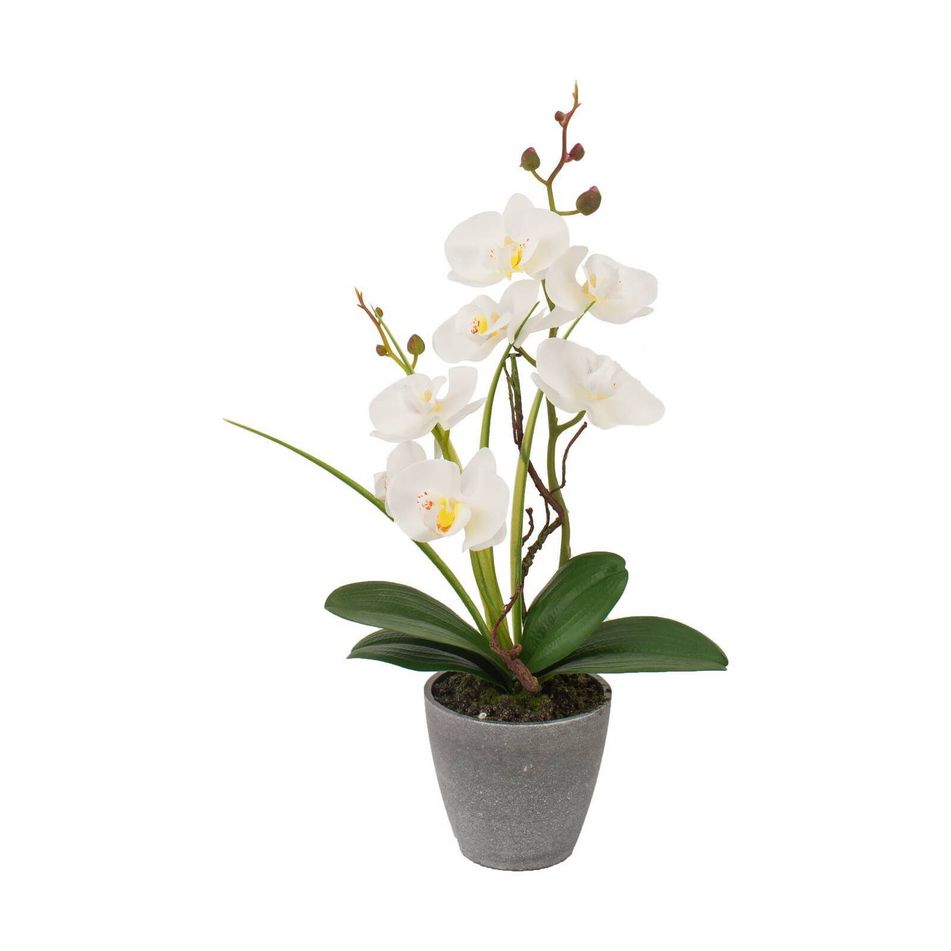vaso-con-orchidea-a-7-fiori-d-dot-10xh38cm-in-4-colori