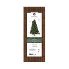 albero-ontario-h210cm-834-rami
