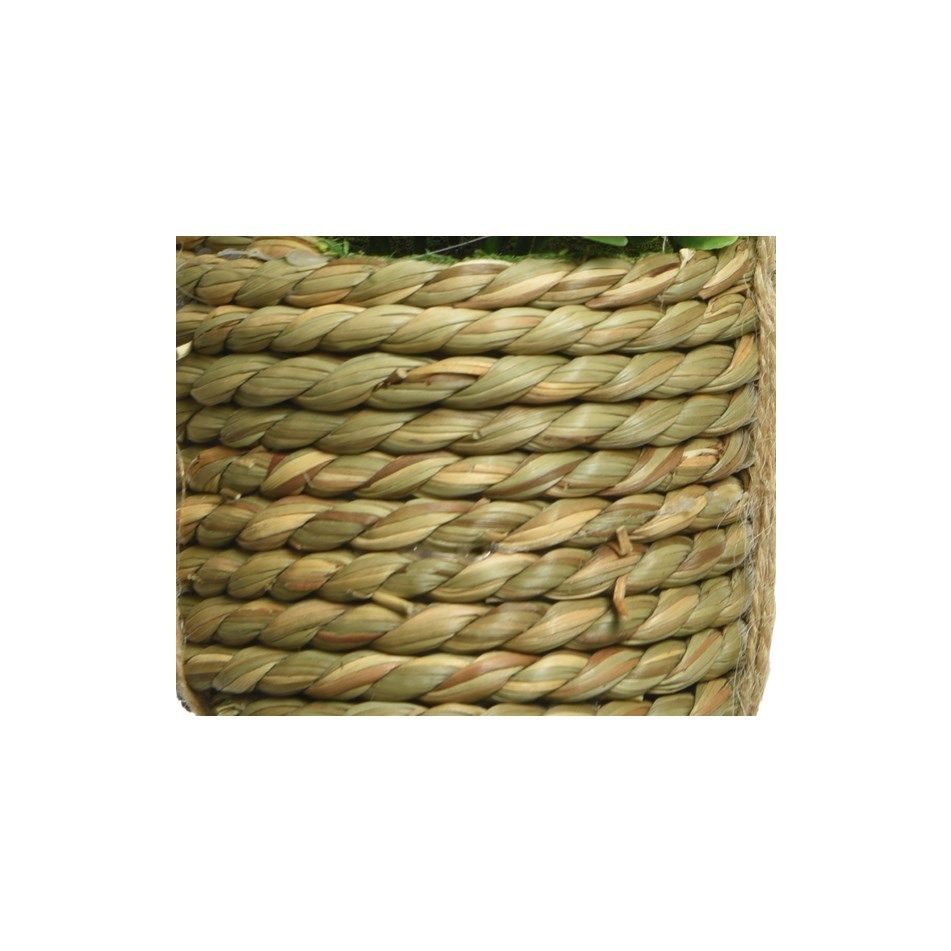 pianta-con-vaso-spago-8x8xh12cm-3-modelli
