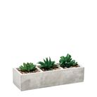 vaso-con-pianta-grassa-decorativa-26x10xh10cm-in-2