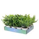 vaso-con-pianta-artificiale-8xh21cm-in-4-modelli