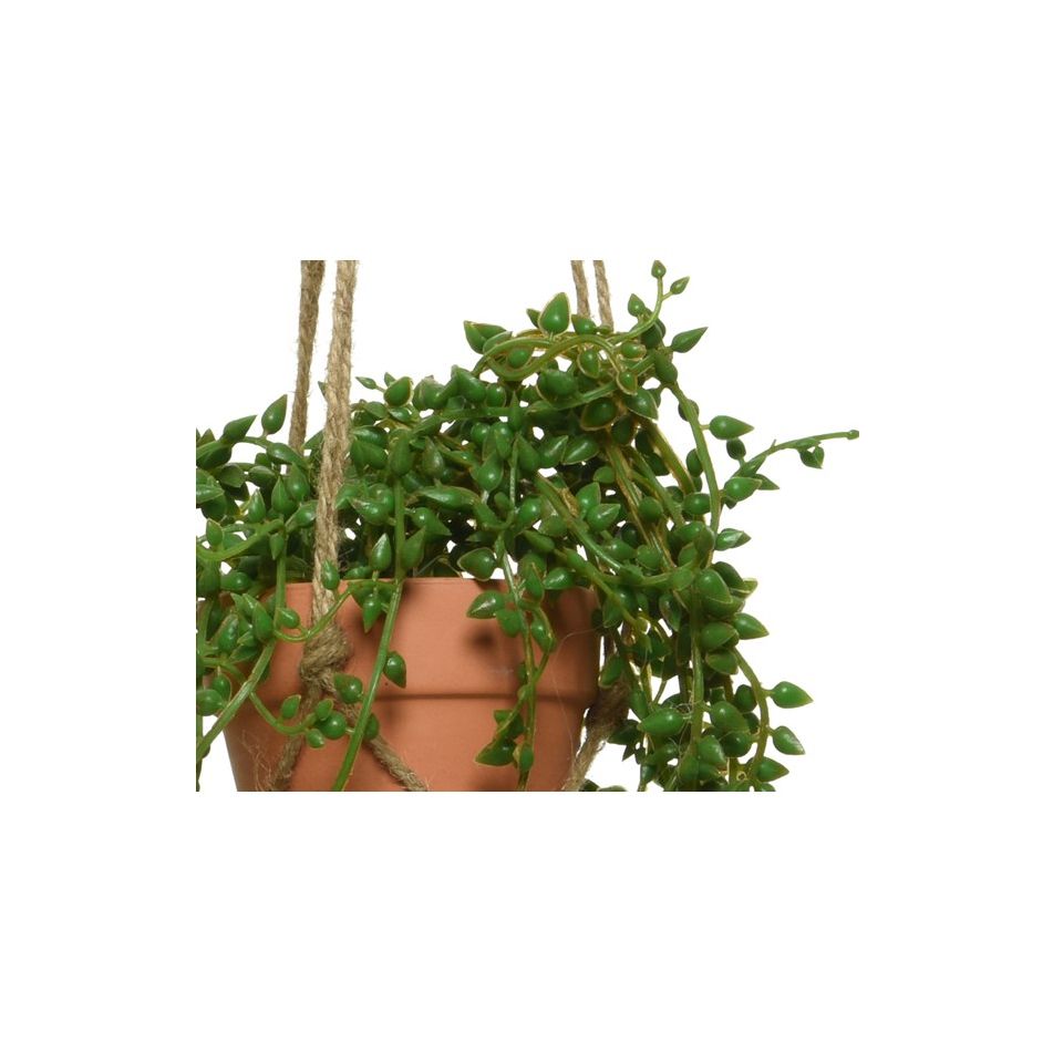vaso-pensile-marrone-con-pianta-d-dot-10xh40cm-con-cor