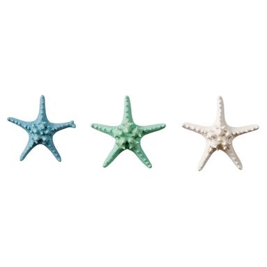 STELLA MARINA DECORATIVA 17CM IN 3 COLORAZIONI