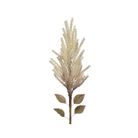 pampas-decorativa-crema-h94cm-con-foglie