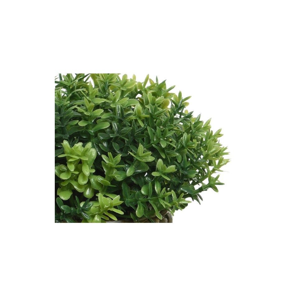 vaso-intrecciato-con-erbetta-d-dot-16xh30cm