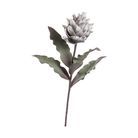 protea-prince-decorativa-80cm-in-4-colori