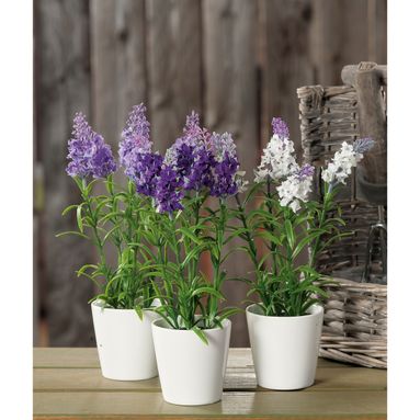 VASO CON LAVANDA D.8XH26CM IN 3 COLORI