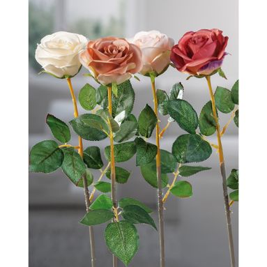 ROSA ASS 4 COLORI CM 67
