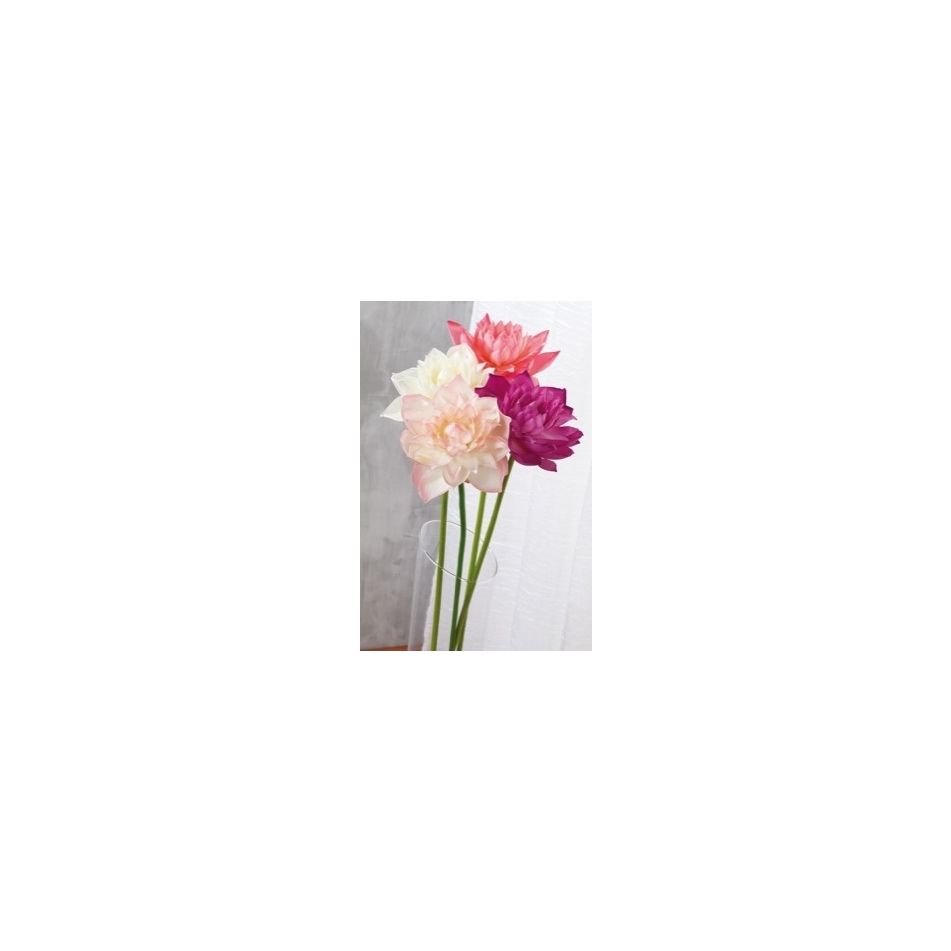 fiore-di-loto-ass4col-cm-84