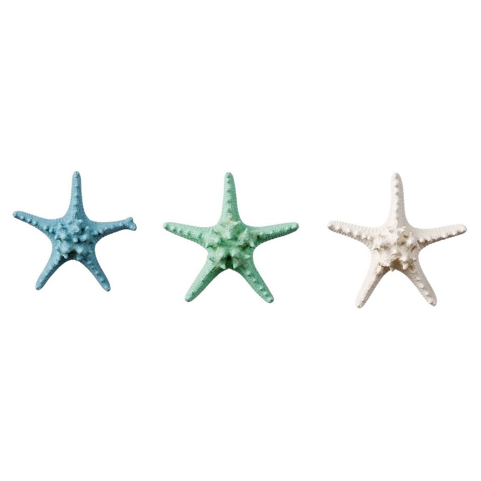 stella-marina-decorativa-17cm-in-3-colorazioni