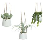 vaso-pensile-bianco-d-dot-20xh20cm-con-pianta