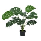vaso-con-monstera-d-dot-60xh66cm